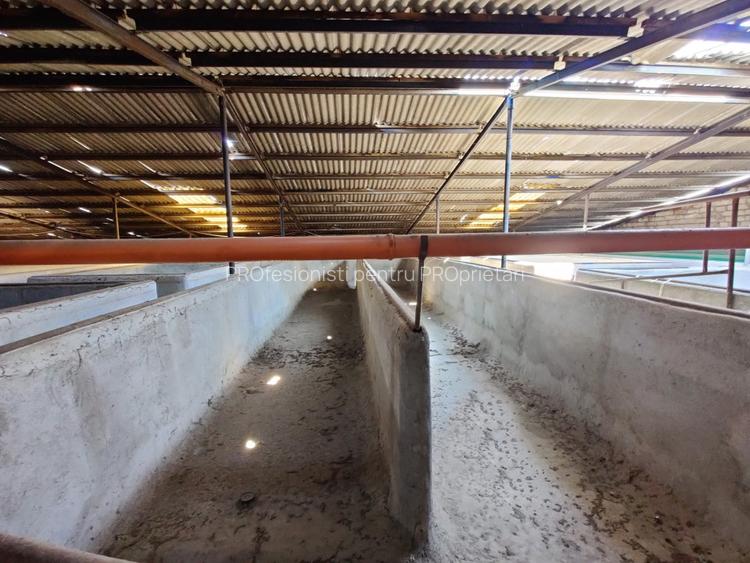 COMISION 0% Oportunitate de afacere/acvacultura in sistem RAS/3150 mp/Cisnadie - 6