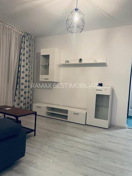 Baba Novac, 15 minute metrou Piata Muncii si parc IOR, pe Gheorghe Petrascu - 11