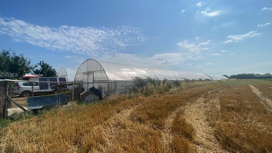 Teren extravilan S= 5000 mp, Udeni-Zavoi, Arges - 6