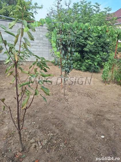 1 camera. zona  Elisabetin centrala proprie - 9