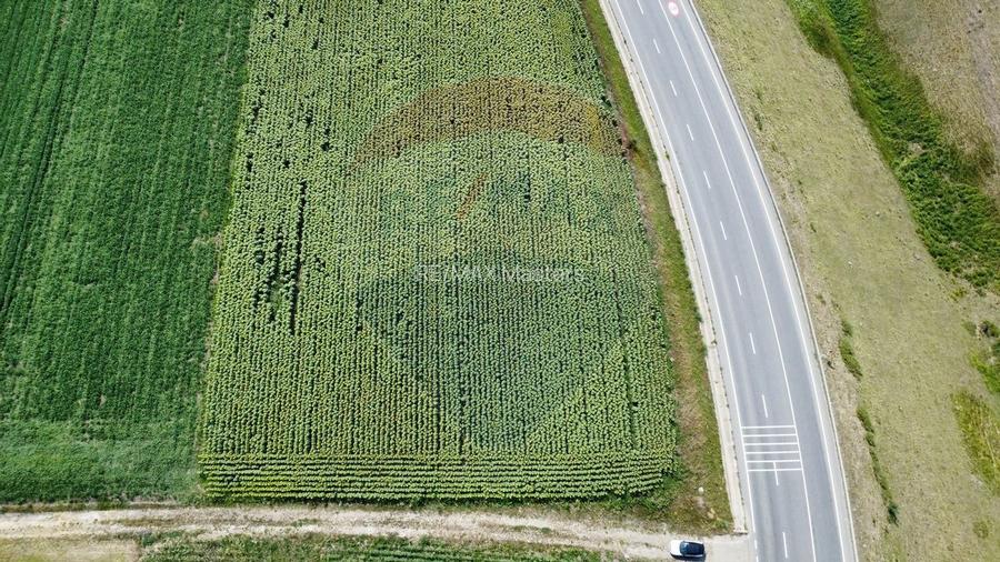 Teren 3,500mp Ilisesti / Strada Principala - 11