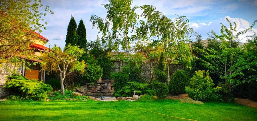 Vila Individuala La Cheie -  DIRECT PROPRIETAR  792 mp - 9