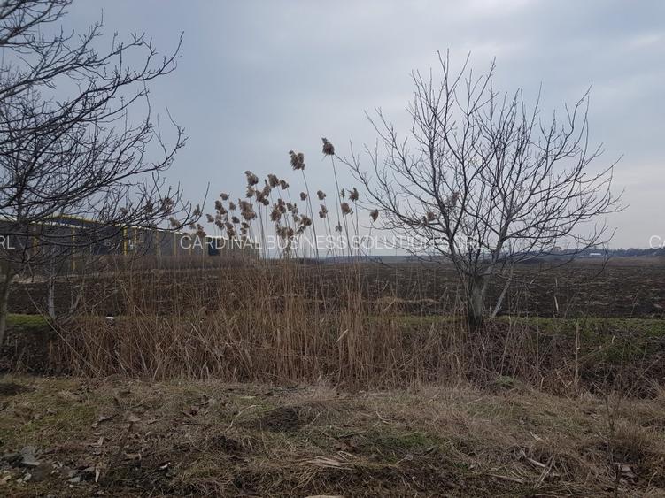 Glina, str. Morii, teren intravilan 10000 mp - 2