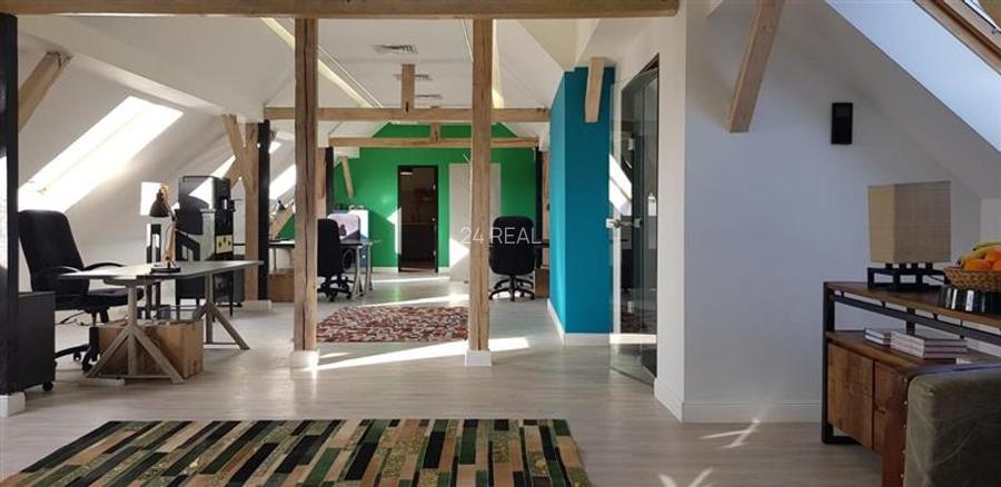 Birouri de inchiriat in zona centrala -160 mp - 17