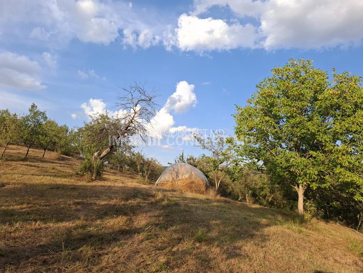 Teren spectaculos cu padure, livada si priveliste panoramica in Soimari PH - 7