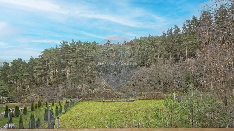 Vila moderna cu vedere spre padure Poiana Angelescu - 59