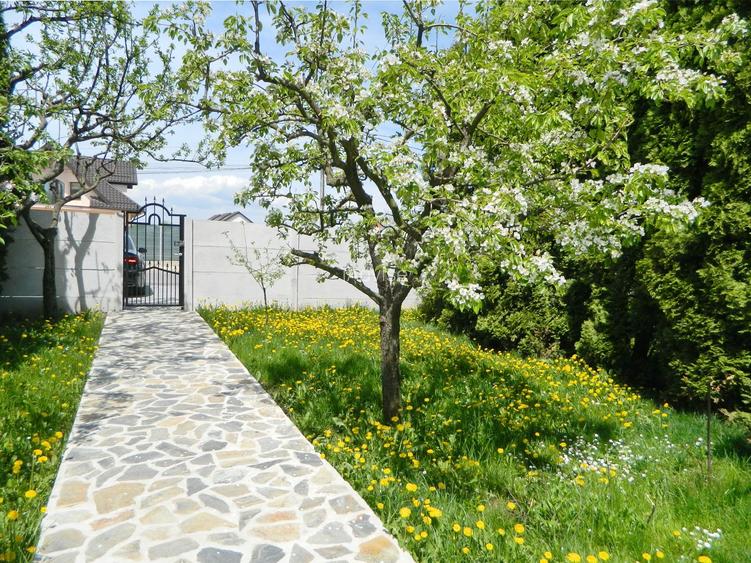 Apartamet 4 Camere Parter Casa Bartolomeu - 22