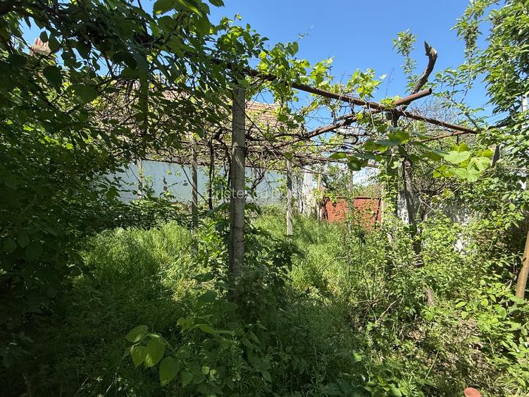 Casa veche individuala pe colt central in Periam - 6