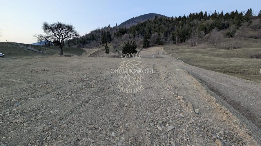 Teren 551mp cu Proiect Resort exclusivist-panorama lac Colibita - 13