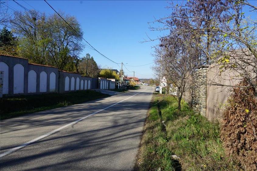 Teren de vanzare in Leamna de Jos - 10