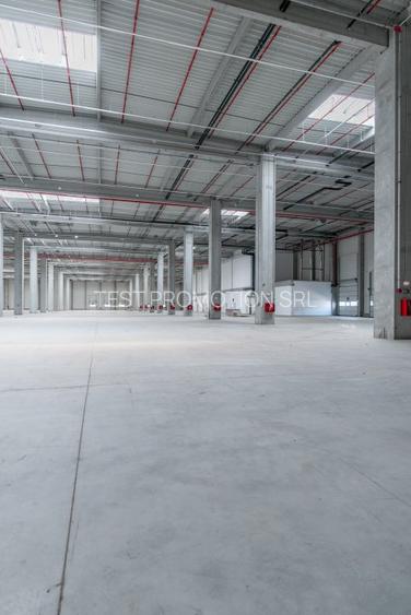 Spațiu industrial, 249500 mp în Chitila - 6