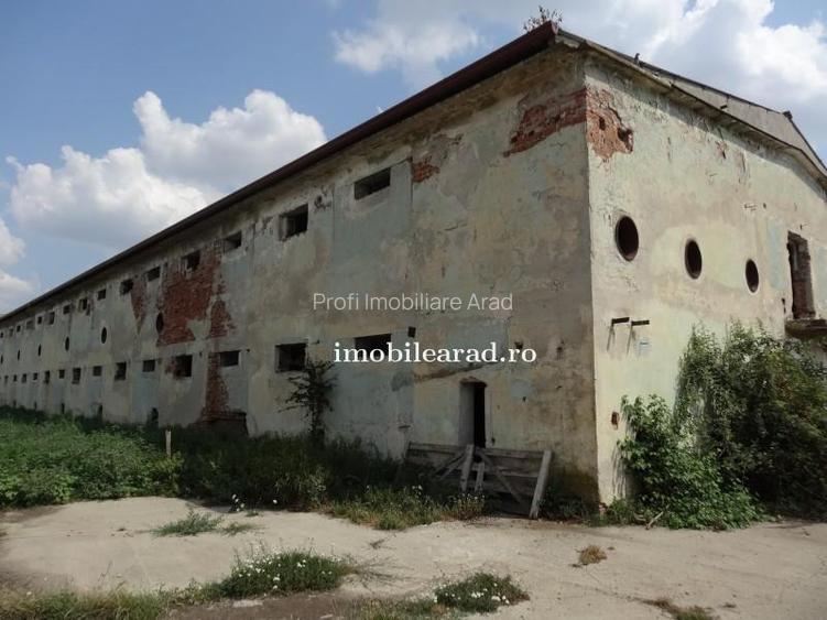 Teren 18.400 mp cu 4 hale P+E pe Artera principala vizavi de Metro-Momax - 24