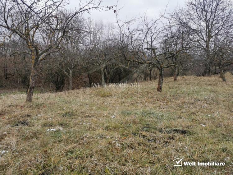 Ocazie! Teren intravilan cu utilități  in Aiton la 30 min. de centru Cluj-Napoca - 13