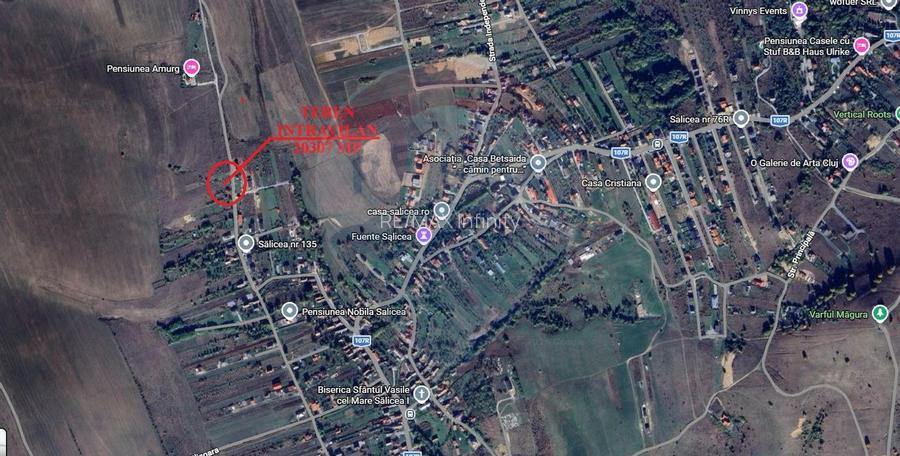 Teren intravilan 2307 mp în Salicea, zona premium, aproape de Cluj - 2