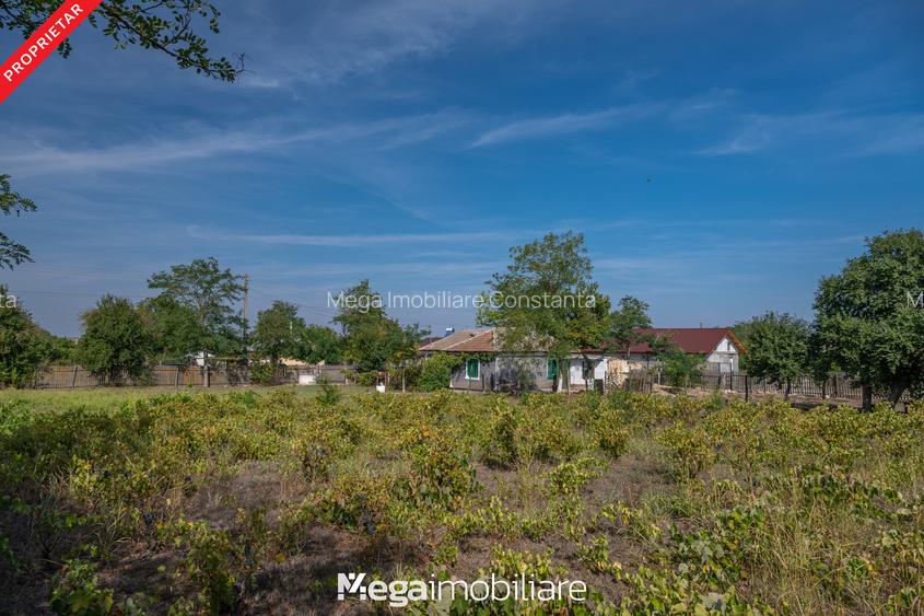 ✅ Stradă asfaltată: O oază de liniște la doar 20 minute de Constanța - 16