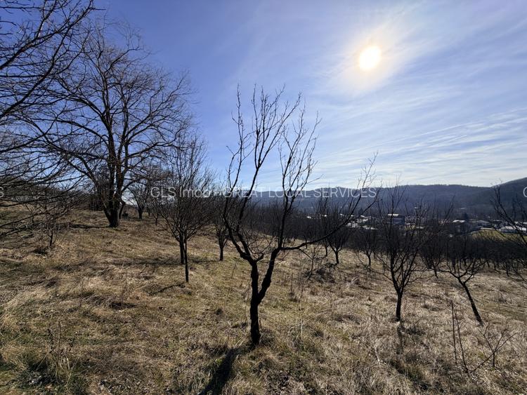 Refugiu Exclusivist Prahova Casa cu 5.2 ha, Panorama Parau si Potential Turistic - 41