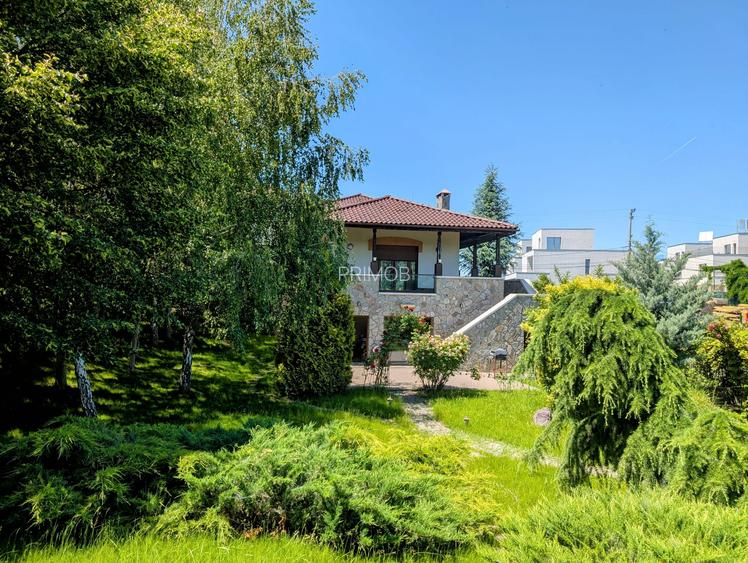 Mogosoaia,vila robusta cu vedere spectaculoasa catre lac,palat,parc,1750mp teren - 4