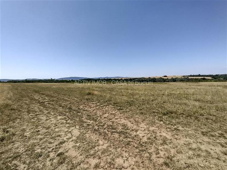 Nicolint, 2 Terenuri Extravilane, Arabil, 1.45 Hectare - 14