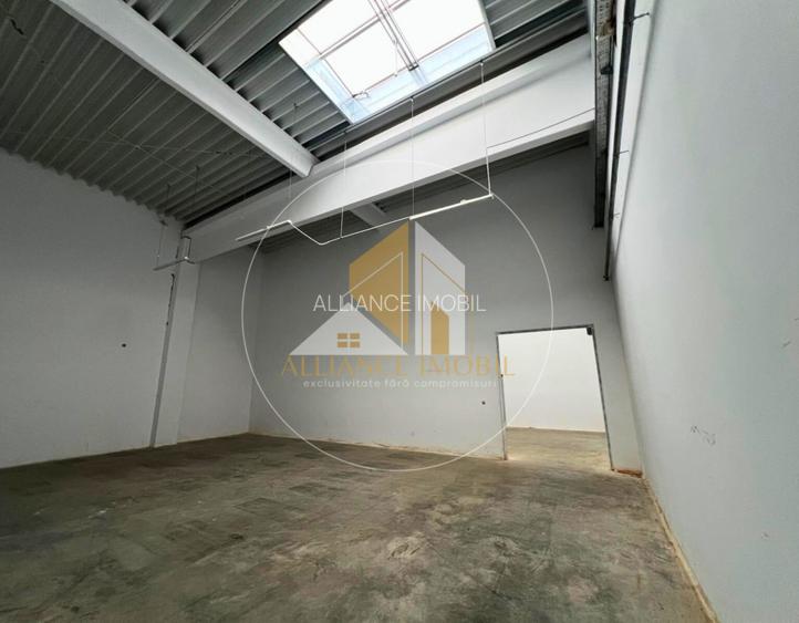 Spațiu industrial cu utilizare mixtă(producție ,depozit, birouri) – de închiriat - 5