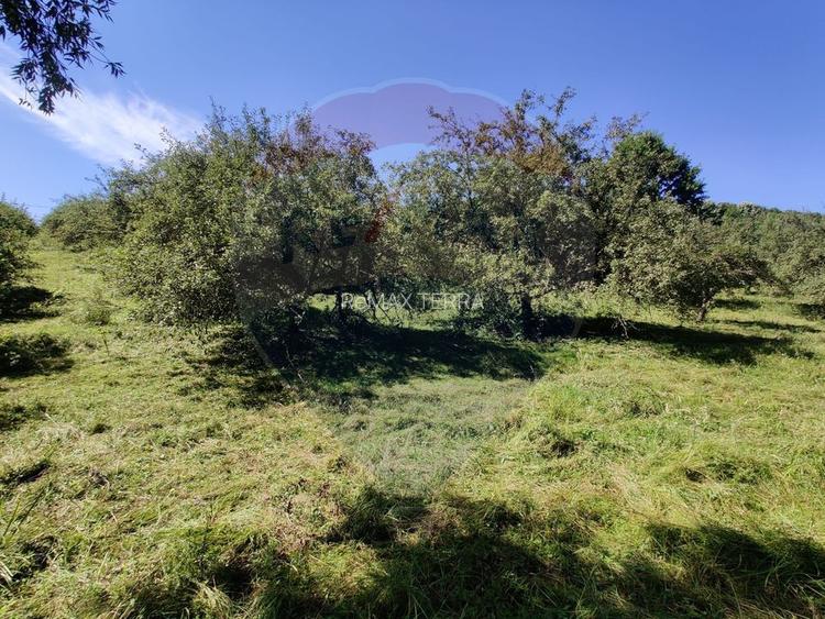 Teren intravilan in Remetea Chioarului - 3