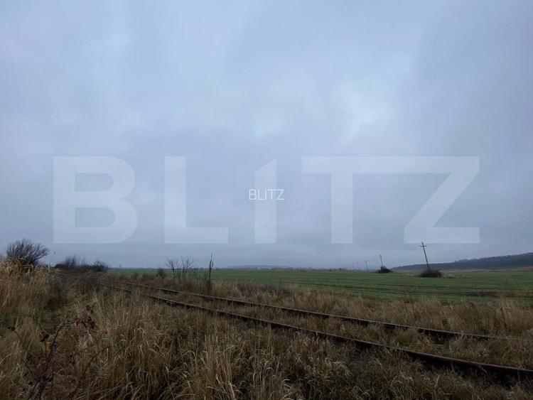 Teren intravilan industrial, 41.000 mp, front 117 m, Isalnita - DE70 - 7