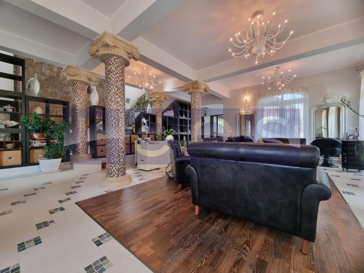 INCHIRIERE SPATIU COMERCIAL-2 VILE | ZONA MOGOSOAIA - 2