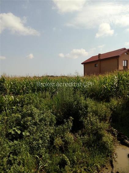 Teren, Zapodia,Traian Bacau - 3