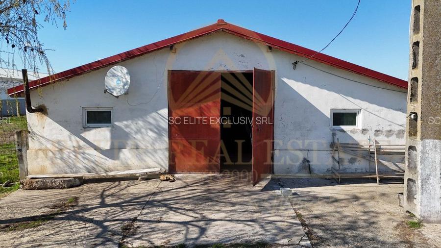 Tariverde - Ferma zootehnica functionala, 3 hectare teren intravilan! - 13