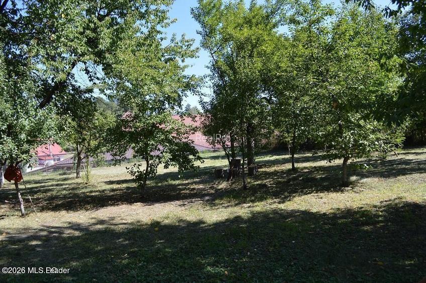 Curtea de Arges - Ultracentral - Casa autentica 180 mp, Teren 1336 mp - 15