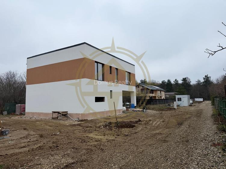 Vila P+1 Snagov acess drum principal - 2