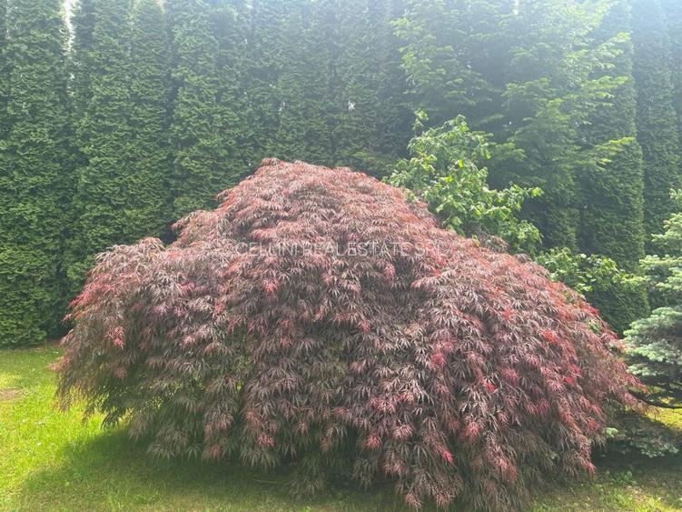 Vila de vis cu parc privat  — Panoramă Unică Spre Crucea Caraiman, - 24