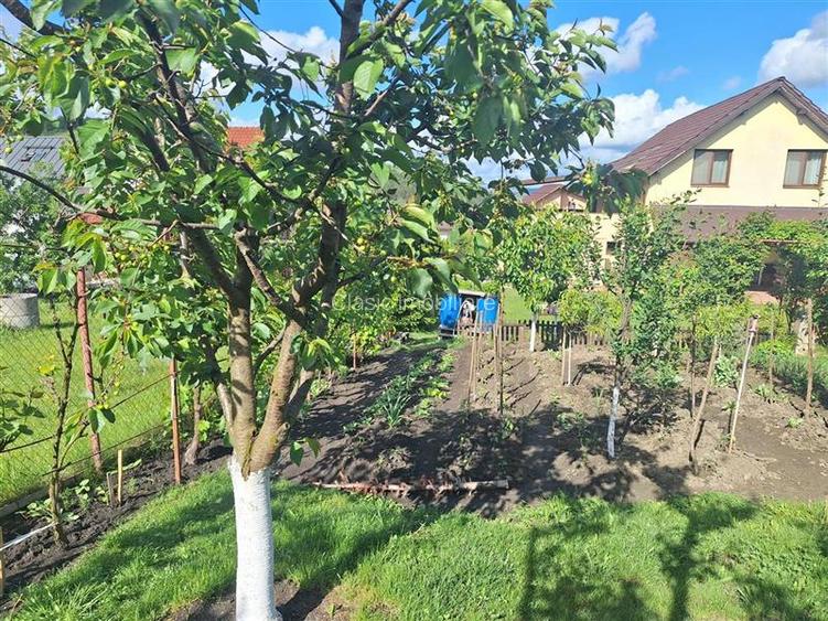 Vanzare casa individuala cu gradina matura Campenesti Apahida, Cluj-Napoca - 9