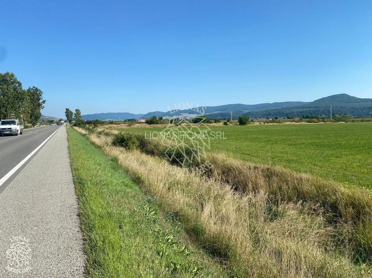 Teren 3000 mp la DN 17-investitie-Sieu-Magherus - 2