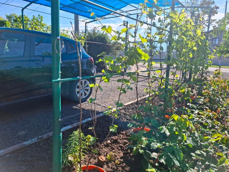 Casă complet mobilată și utilată, gata de locuit! 🏡 - 4