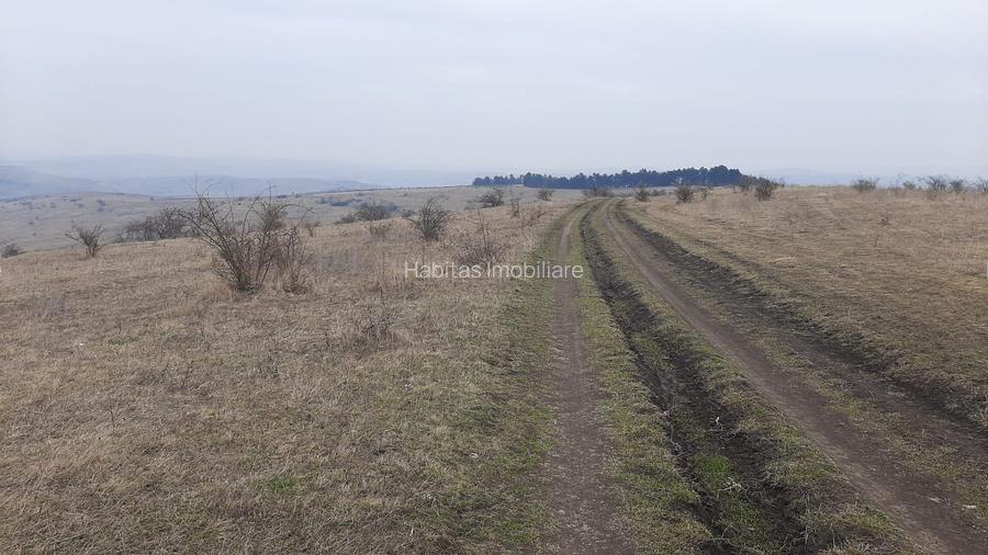 Teren agricol pentru investitii, zona Valea Calda -Iris - 9