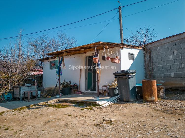 Proprietar, vând casă nouă (186mp) + casă veche și 1600mp teren - 9