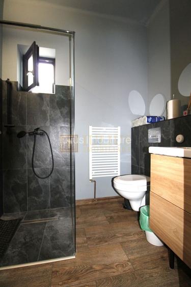 Casa individuala, curte/gradina/parcare; zona Balcescu. Birouri. - 12