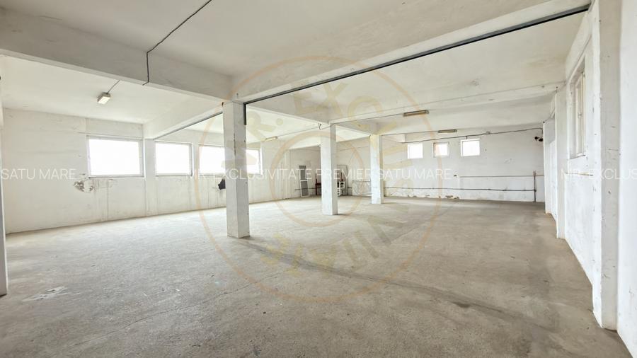 Inchiriere Cladire Productie, Depozitare 278 mp -Teren 1380 mp - Carei  - 5