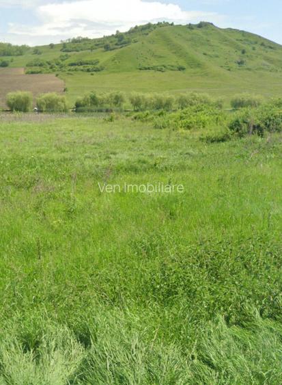 Teren extravilan de vânzare – Brăteni acces la Lac - 2
