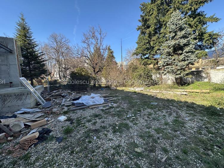 Proiect deosebit zona Medicina / Isho - 17