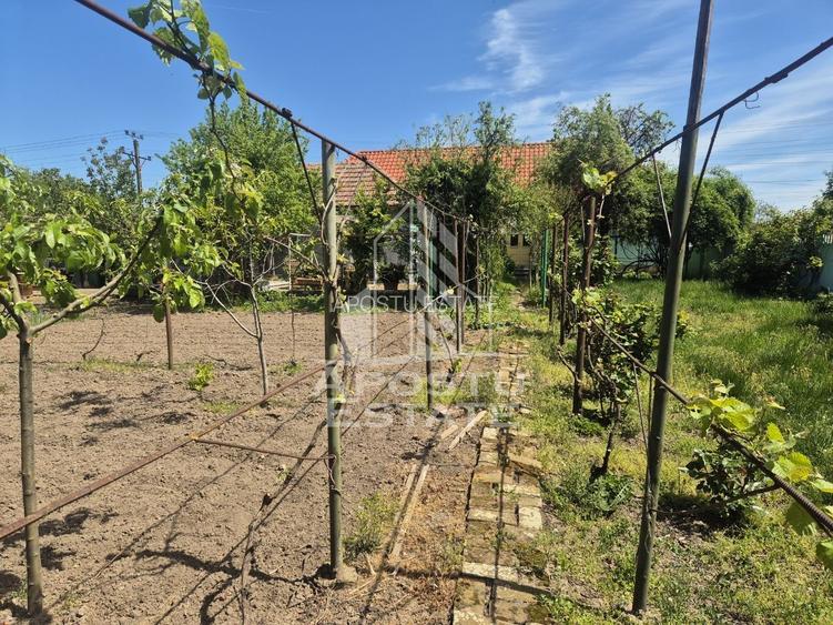 Casă renovată complet, cu garaj și anexe, în Satchinez, Timiș - 17