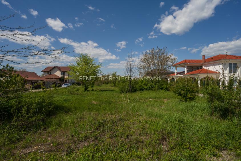 SNAGOV - CIOFLICENI TEREN CONSTRUCTII 830 MP, LOT DE COLȚ! - 5