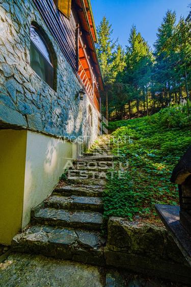 Pensiune, casa de vacanta, 6 camere, statiunea Rausor din Hunedoara - 15