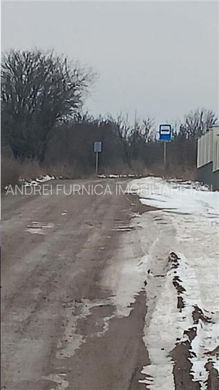 Visan str Dealul Craitelor TEREN 6383mp  si 4217mp utilitati  si transport in co - 7