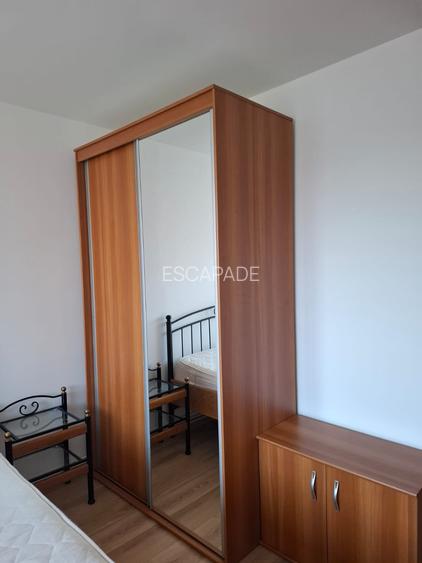 Chirie 2 camere, recent renovat, vedere parc, zona piata dacia - 10