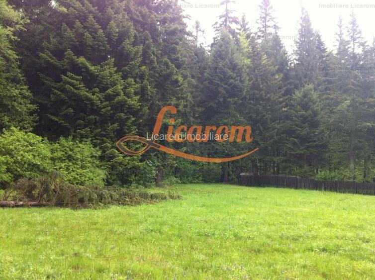 Teren intravilan Cotul Donului,pretabil Hotel/pensiune. - 9