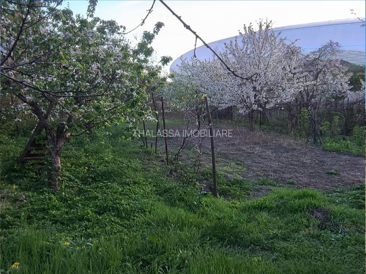 Teren constructii Central - Sala Polivalenta - 6