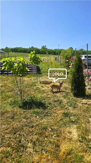 VIDEO | ?? Loc pentru casa, cabana sau cazare turistica in Ardud | Vedere de vis - 18
