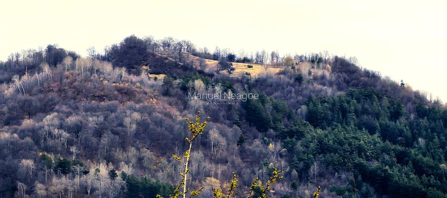 Teren Breaza 2623mp , pot 35% , cut 1,2 conform cert urb.intravilan - 9