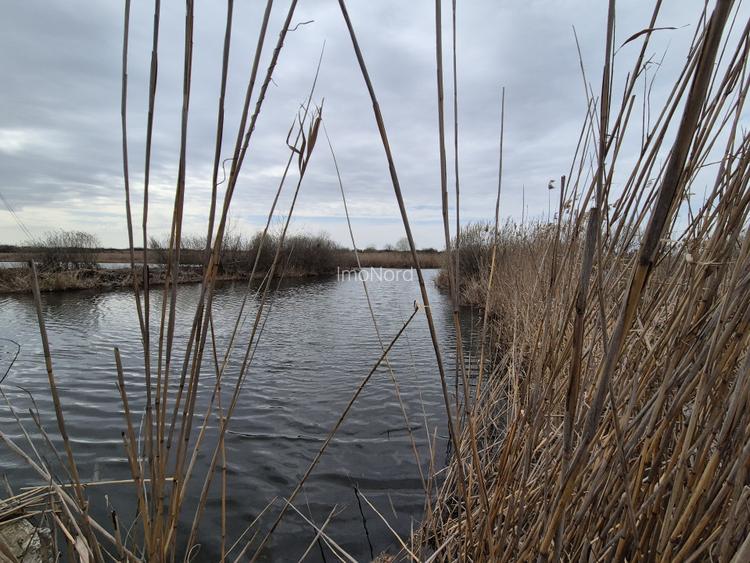 Izvorani - teren cu deschidere la lac - 8